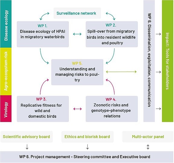 Connections and interactions of the different WPs, SAB, EB, MAP, and their expected impact.